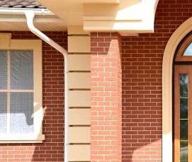 Двойные входные двери для загородного дома - модель 1