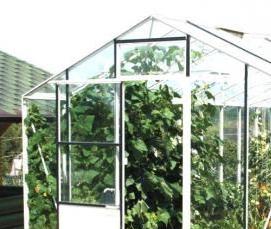 Двухскатная теплица из поликарбоната - тип 3