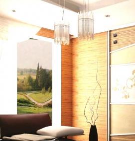 Двустворчатые двери купе - вариант 1