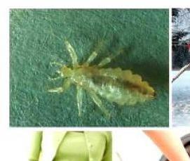 эффективная дезинфекция - тип 1