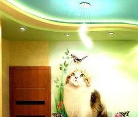 экологические натяжные потолки - тип 1