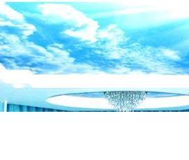 экологические натяжные потолки - тип 3