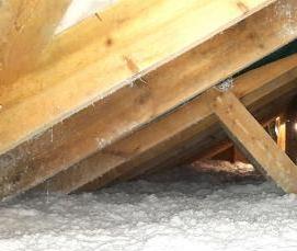 эковата пароизоляция - модель 2