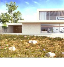 экстерьерная визуализация - модель 1