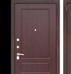 электрическая входная дверь - модель 1