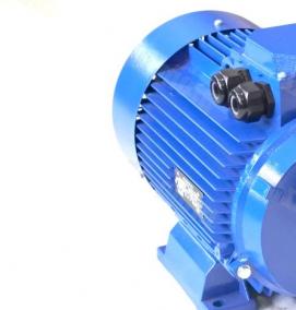 электродвигатель 132 квт - тип 1