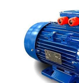 электродвигатель 132 квт - тип 2