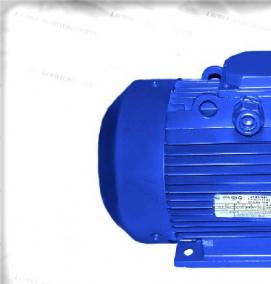 электродвигатель 25 вт - тип 2
