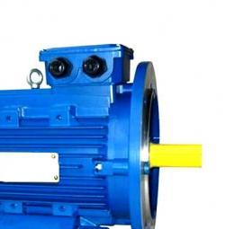 электродвигатель 3 квт 3000 оборотов - тип 1