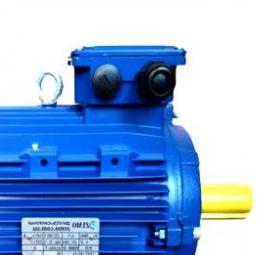 электродвигатель 3 квт 3000 оборотов - тип 2