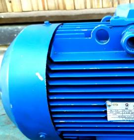 электродвигатель 40 квт - тип 4