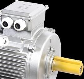 электродвигатель асинхронный трехфазный - тип 4