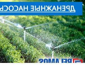 электродвигатель для дренажного насоса - тип 4