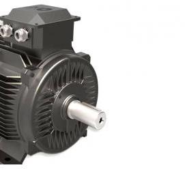 электродвигатель постоянного тока с независимым возбуждением - вариант 4