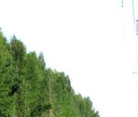 электромонтаж воздушной линии через чужой участок - вариант 4