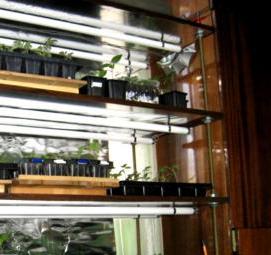 этажерка для рассады с подсветкой - тип 4