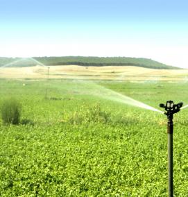 Емкость для автополива - тип 1