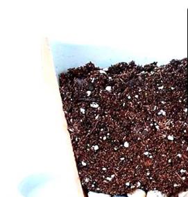 Емкость для дренажа - вариант 2