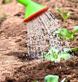 Емкость для капусты - тип 1