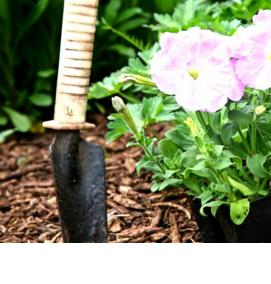 Емкость для петунии - вариант 3