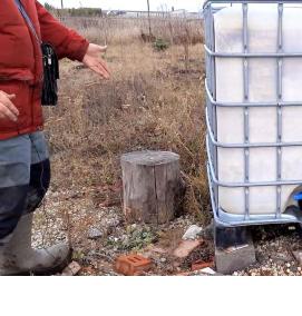 Емкость для воды еврокуб - вариант 2