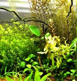 Емкости для аквариума - вариант 4