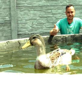 Емкости для животных - тип 3