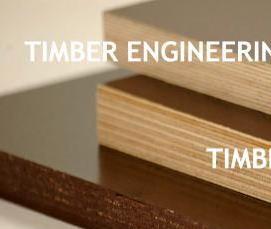 фанера черная ламинированная - модель 3