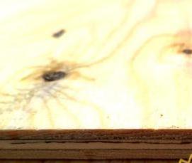 фанера хвойная 3 мм - тип 3