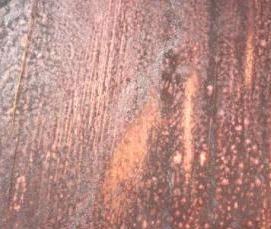 фанера строительная 10 мм - вариант 3