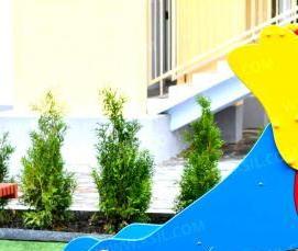 фанера влагостойкая противоскользящая - тип 2