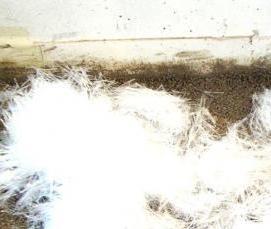 фиброволокно для штукатурки - вариант 4