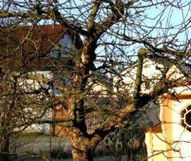 финские беседки с барбекю - модель 4