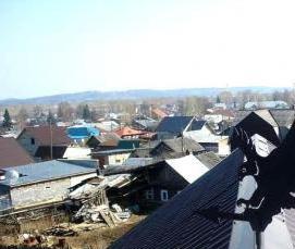 флюгер черный - вариант 1