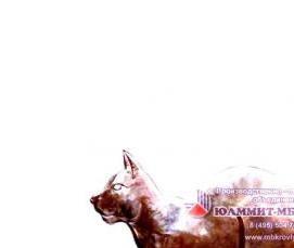 флюгер стрелец - модель 4