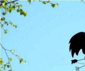 флюгеры на крышу беседки - модель 2