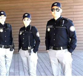 форменная одежда государственных служащих - вариант 3