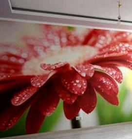 фотообои 5д для стен - модель 2