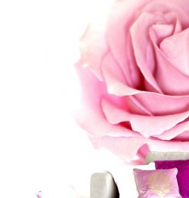 фотообои: цветы розы - тип 3