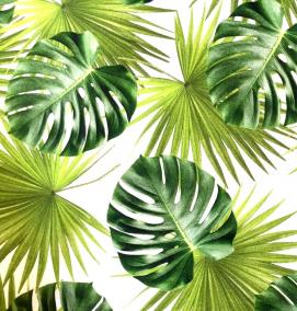 фотообои: листья пальмы - тип 2