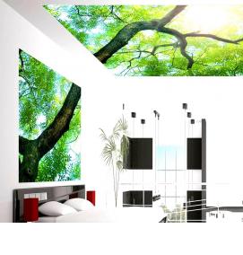 фотообои на потолок - вариант 4