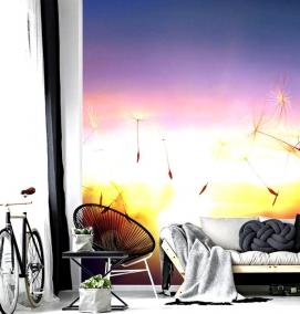 фотообои: одуванчики на стену - тип 2