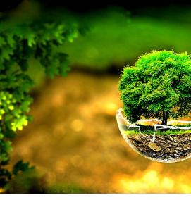 фотообои: природа 3д - модель 1