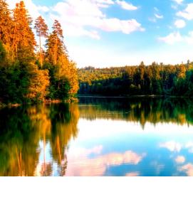 фотообои: природа на стену - вариант 1