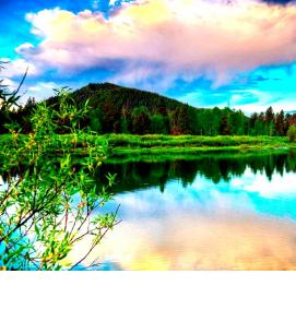 фотообои: природа на стену - вариант 4