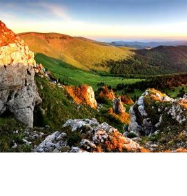 фотообои: природа на стену - вариант 2