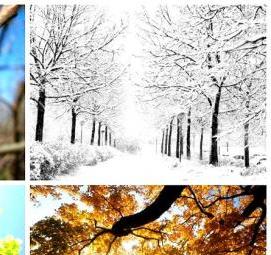 фотообои: времена года - тип 1