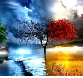 фотообои: времена года - тип 4