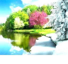 фотообои: времена года - тип 3