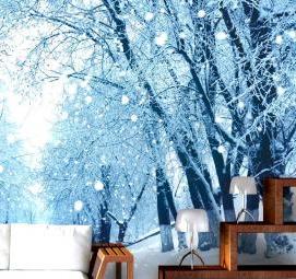 фотообои: зимний сад - модель 4